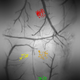 Illustration for article titled A taste map of the brain